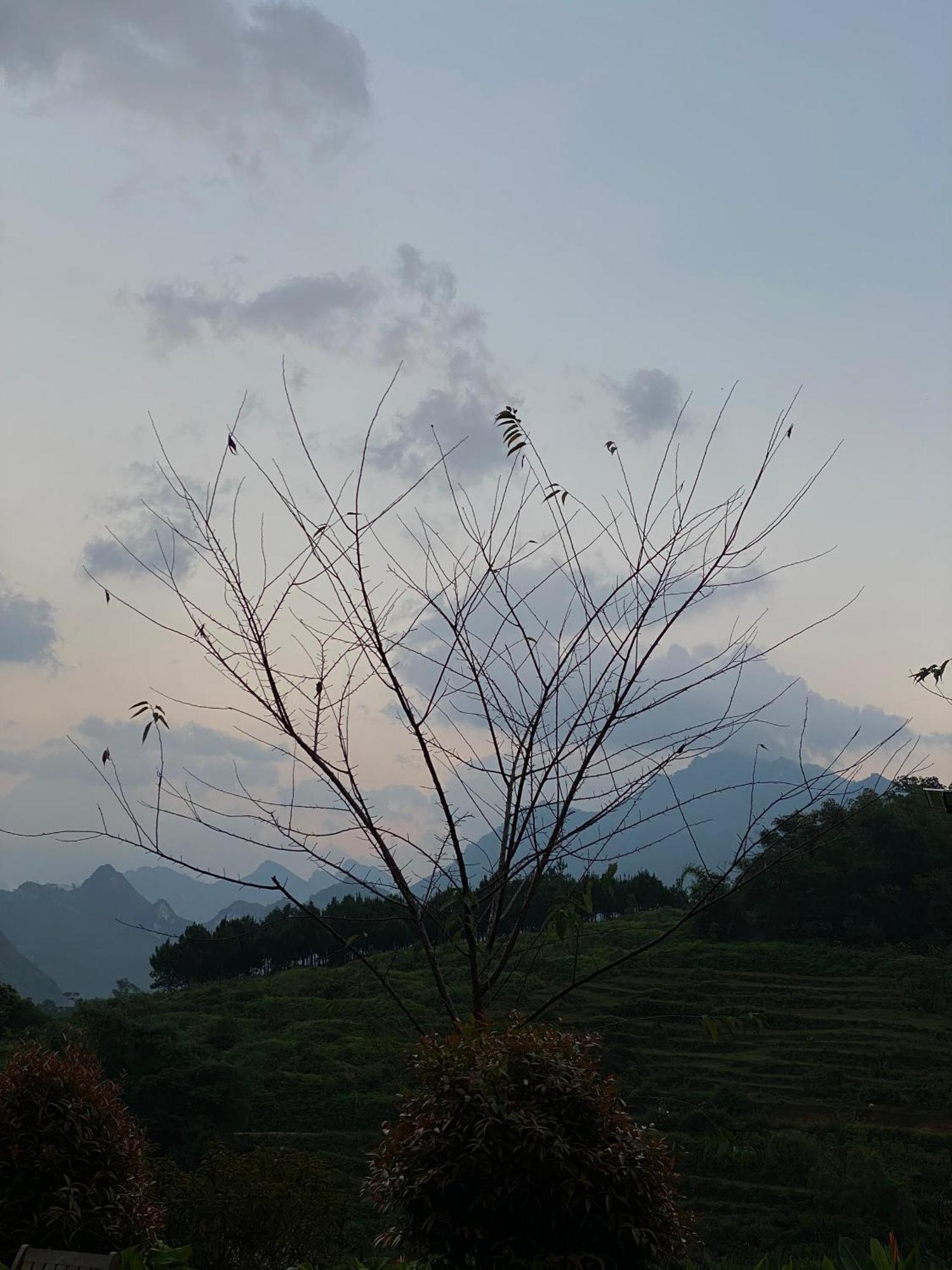 To Day Du Gia Village Làng Cac Eksteriør billede