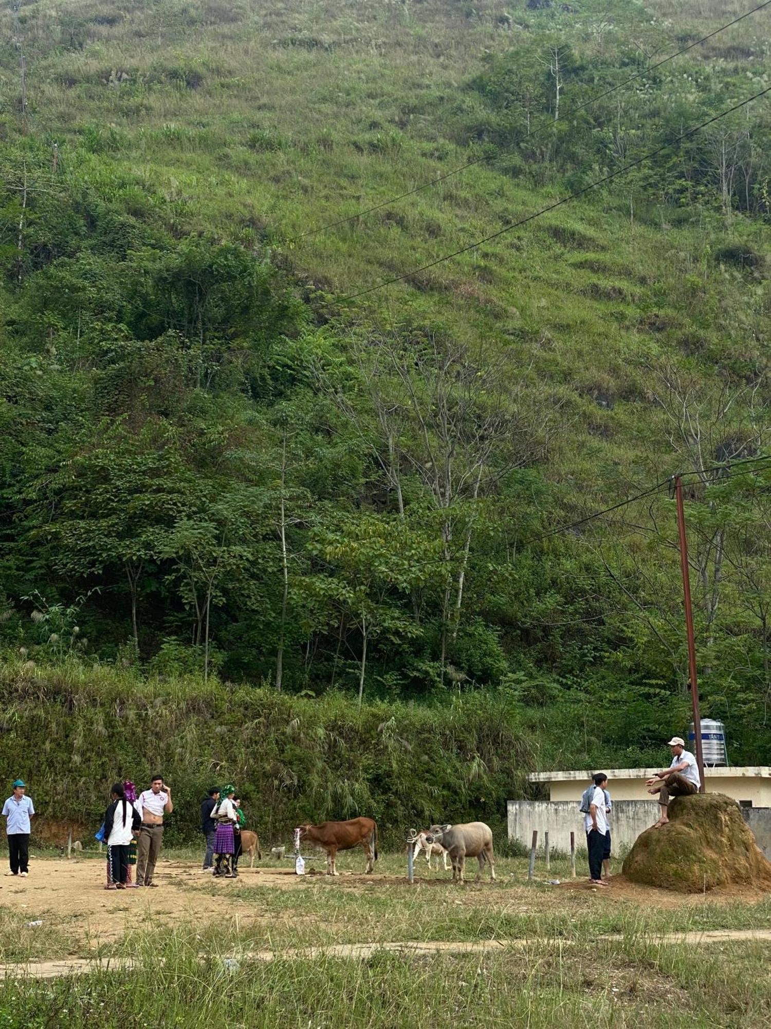 To Day Du Gia Village Làng Cac Eksteriør billede